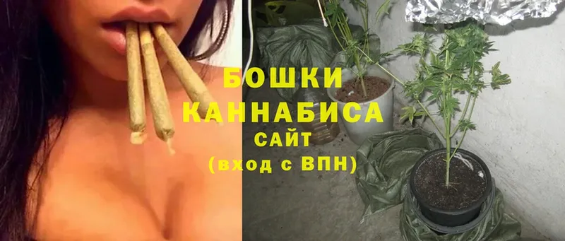 Бошки марихуана OG Kush  как найти наркотики  ОМГ ОМГ tor  Красный Холм 